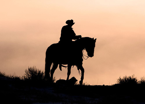 Ride On Poster Print - Carol Walker