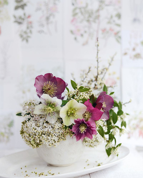 Soft And Elegant Poster Print - Sarah Gardner
