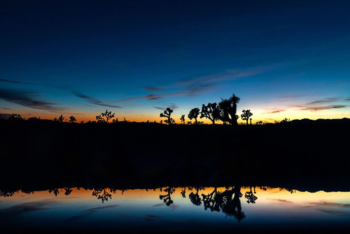 Desert Sky 2 Poster Print - Will Malone