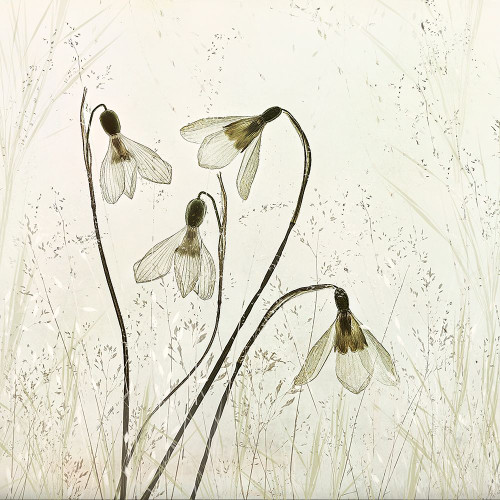 Springtime! Poster Print - Nel Talen