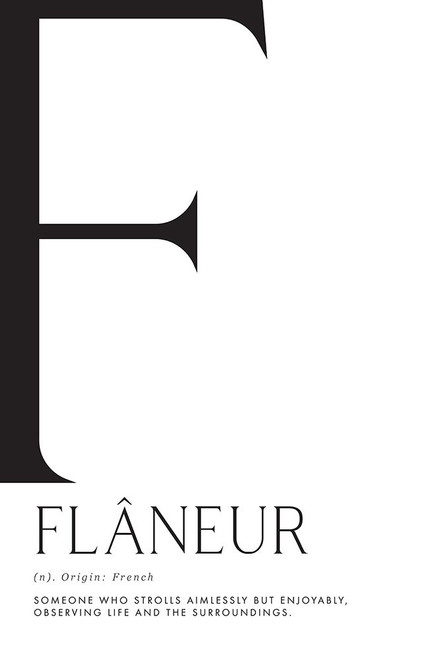 FlAcneur definition Poster Print - Blursbyai Rosana Laiz