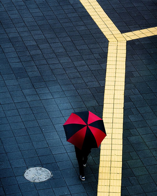 Y Poster Print - Hee HAN Dong