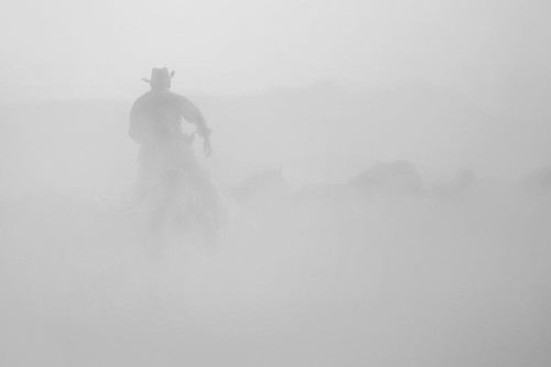 cowboy Poster Print - Suleyman Uzumcu