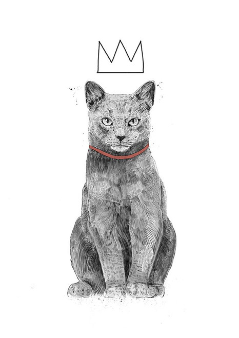 King of everything Poster Print - Balazs Solti