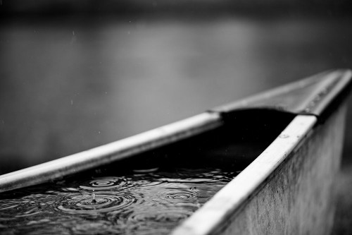 Raindrop 4 Poster Print - Will Malone