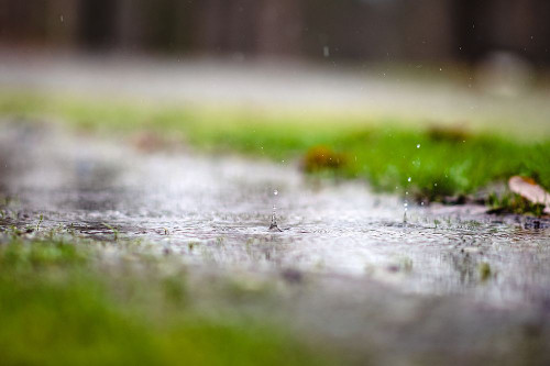 Raindrop Poster Print - Will Malone