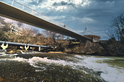 Cancer Survivor Park 3 Poster Print - Will Malone