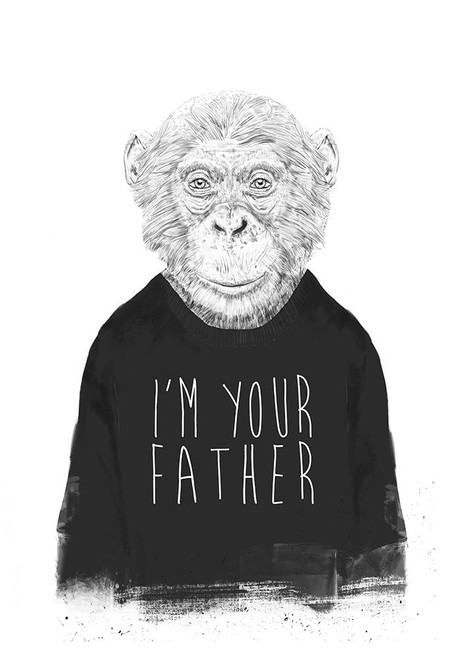 Im your father Poster Print - Balazs Solti