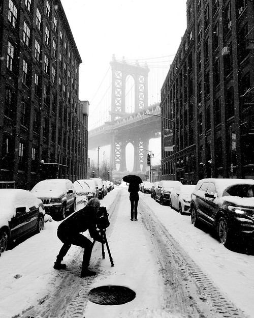 Winter in NYC Poster Print - Ivan Lesica
