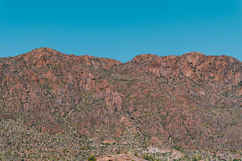 Cactus Mountain 1 Poster Print - Will Malone