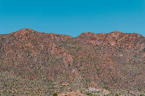 Cactus Mountain 1 Poster Print - Will Malone