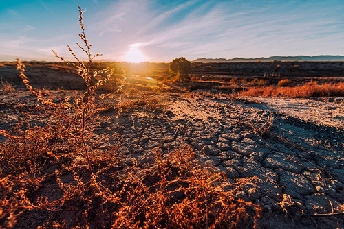 Desert Sunset 3 Poster Print - Will Malone