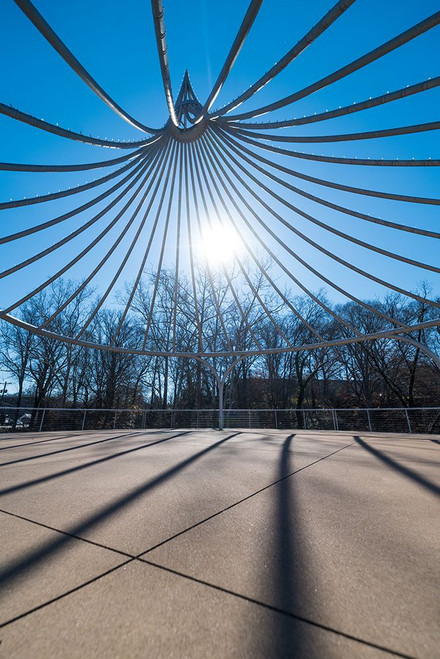 Cancer Survivor Park Poster Print - Will Malone