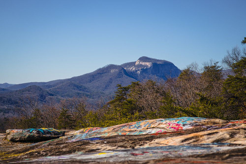 American Graffiti 2 Poster Print - Will Malone