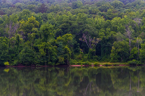 Across The River Poster Print - Will Malone