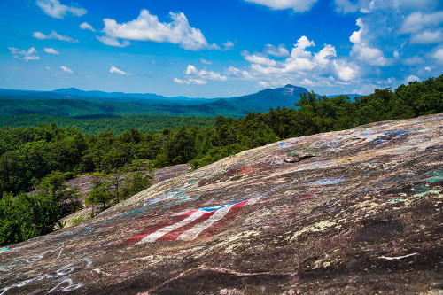 American Bald Horizontal Poster Print - Will Malone
