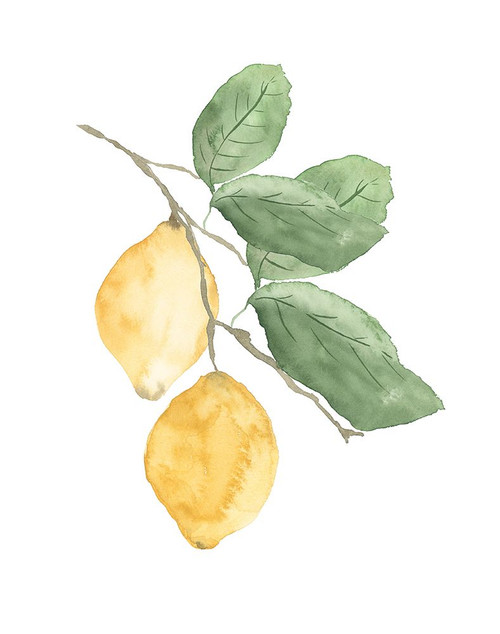 Stem Of Lemons Poster Print - Lucille Price