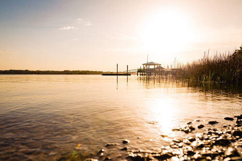 Golden 4 Poster Print - Will Malone