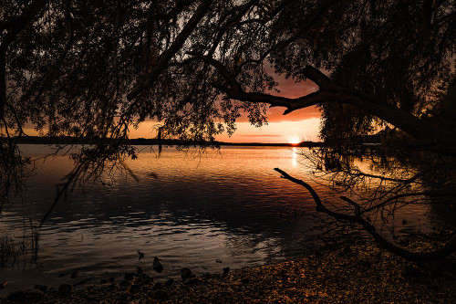 Classic Sunset 3 Poster Print - Will Malone