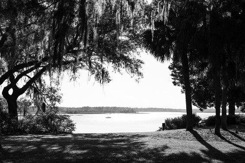 Bluffton Scene Poster Print - Will Malone