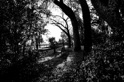 Bench Poster Print - Will Malone