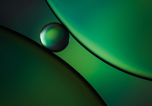 Reptilian Poster Print - Jacqueline Hammer