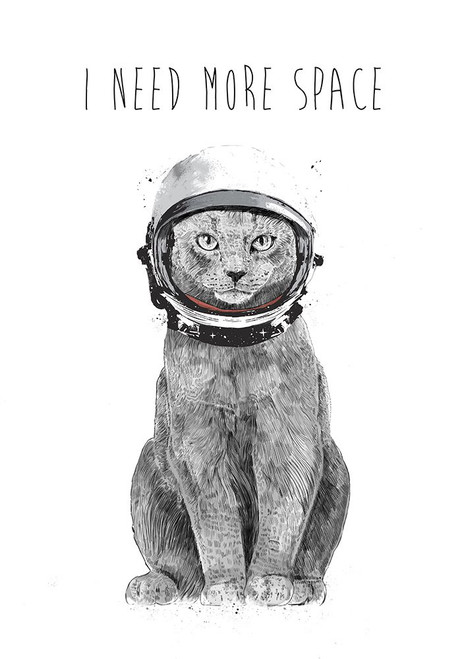 I need more space Poster Print - Balazs Solti