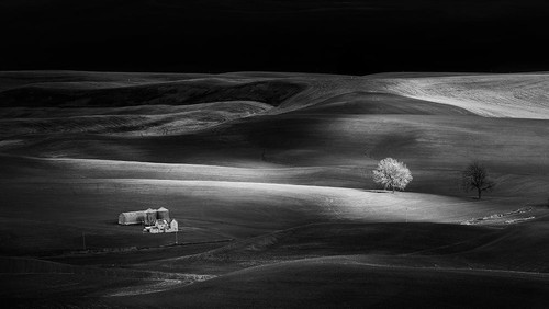 Farm Poster Print - Phillip Chang