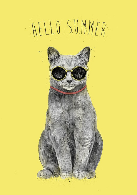 Hello Summer Poster Print - Balazs Solti