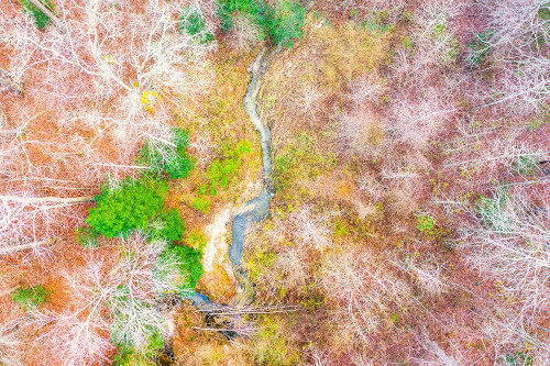Aerial Creek Poster Print - Will Malone