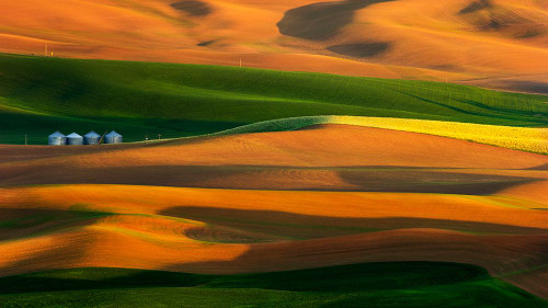The colorful land Poster Print - Phillip Chang
