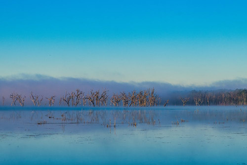 Tired Creek Morning 2 Poster Print - Will Malone