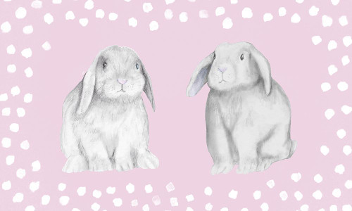 Sweet Bunnies Poster Print - Janice Gaynor