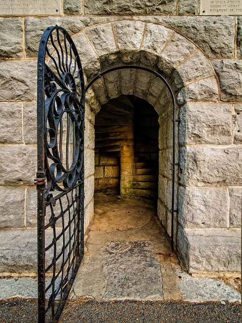 Chickamauga 9 Poster Print - Rachel Lee