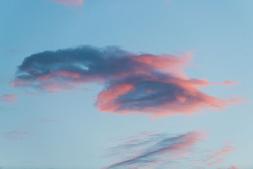 Texas Sunset 2 Poster Print - Will Malone