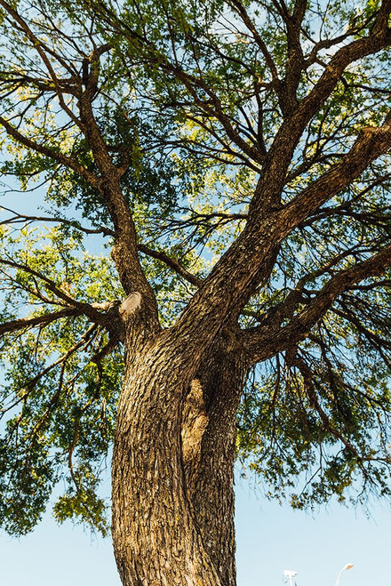 Hill Country 2 Poster Print - Will Malone