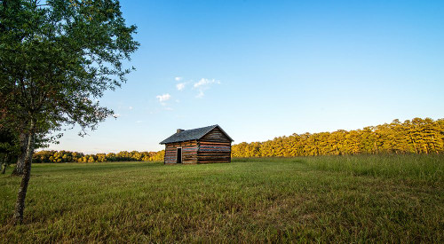 Chickamauga 3 Poster Print - Rachel Lee