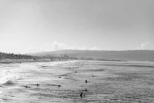 Waiting for Waves Poster Print - Will Malone