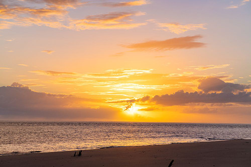 Pink Lemonade Poster Print - Will Malone