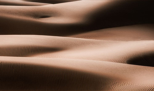 Bodies Poster Print - Robert Work