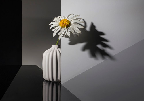 qBeautiful and lonelyq Poster Print - Evgeniy Popov
