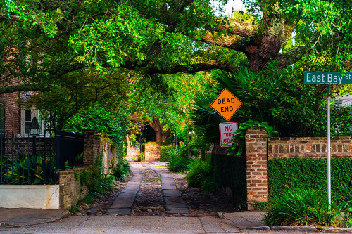 Dead End Poster Print - Will Malone