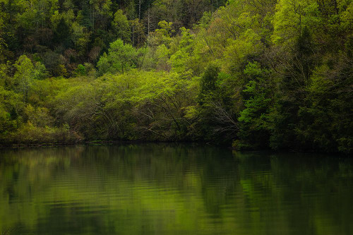 Ocoee Calm 2 Poster Print - Will Malone