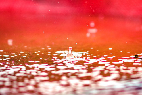 Red Poster Print - Will Malone