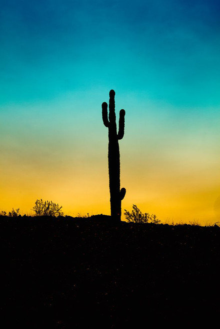 August Studios 3751 - South Mountain, AZ Poster Print - Studios August