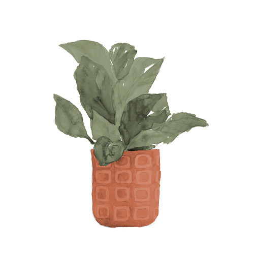 Plant In Terracotta  Pot II Poster Print - Lanie Loreth