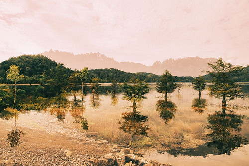 Ocoee Gold Poster Print - Will Malone