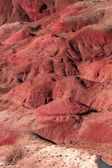 August Studios 8408 - Holbrook, AZ Poster Print - Studios August