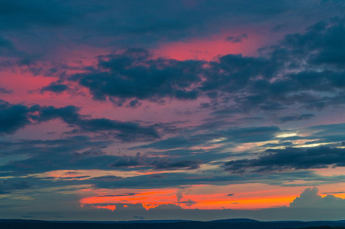 Glow Poster Print - Will Malone