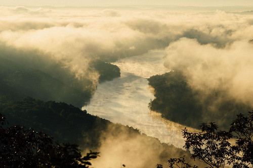 Golden Morning 2 Poster Print - Will Malone